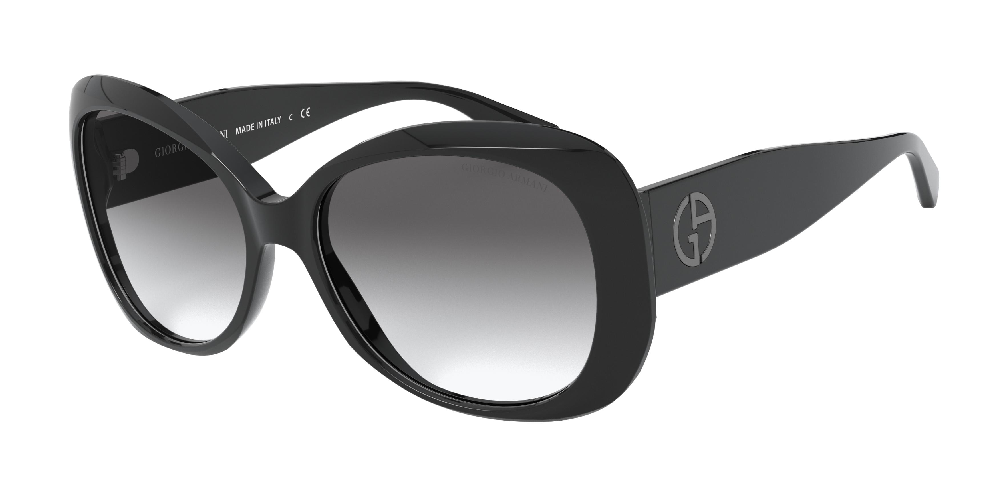 Giorgio Armani AR8132 500111  